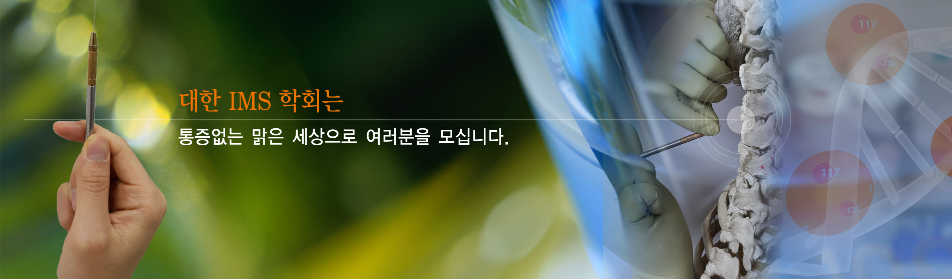 IMS 학회 소개