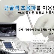 근골격 초음파를 이용한 IMS의 올바른 적용과 운동치료 - 이용승(호두의원 원장)